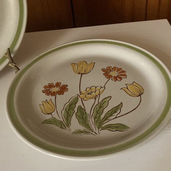 Vintage Country Casual “Sunnyvale” Dinner Plates, Set of 2 - Picture 5 of 7